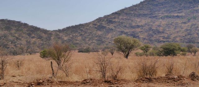 Tag 6: Grootfontein und Umgebung